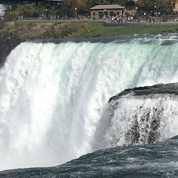 Meet your Posher, Myra - Picture 1 of 1